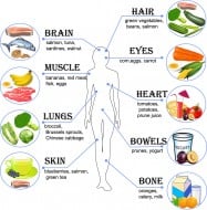 Food useful for the body