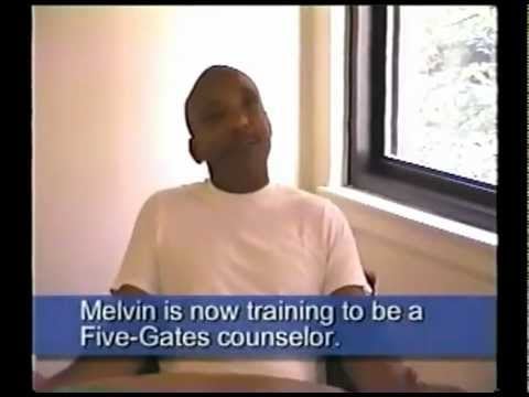 How Dr. Lynn Kesselman's Five Gate Training Program helped Melvin (Online Psychotherapy)