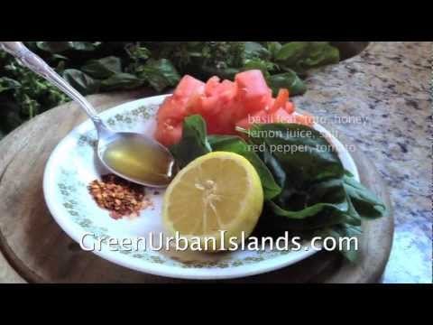 A Diet Salad of Tofu, Basil, Tomatoes -- for Health, Beauty, and Pleasures