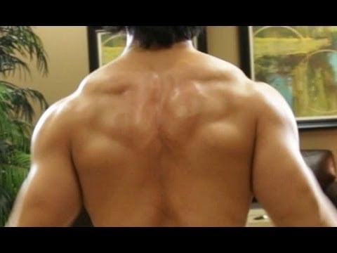 Hardcore Upper Back Dumbbell Workout - No Gym Required!