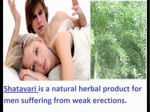 Shatavari for Men Sexual Health