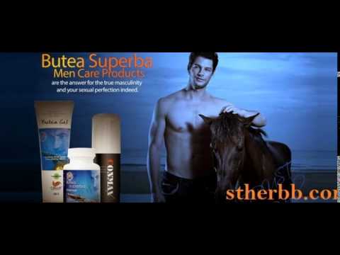 Men Sexual health supplements