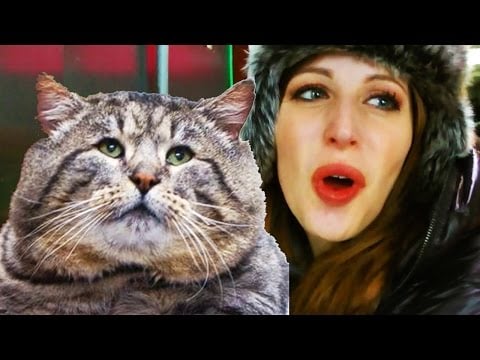 GROSSO GATTO A CHINATOWN (E LOWER EAST SIDE) VLOG