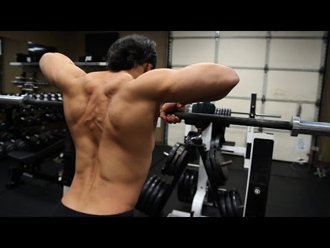 How to Workout to Target LOWER BACK vs UPPER BACK