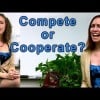 Competition or Cooperation? Psychology: Relationships, Happiness, USA Public School System?