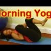 Morning Yoga Workout for Beginners, Wake Up &amp; Stretch How To by Total Wellness Austin